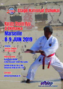 stage karate juin 2019